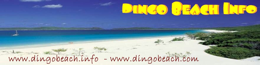 Dingo Beach Info - Logo
